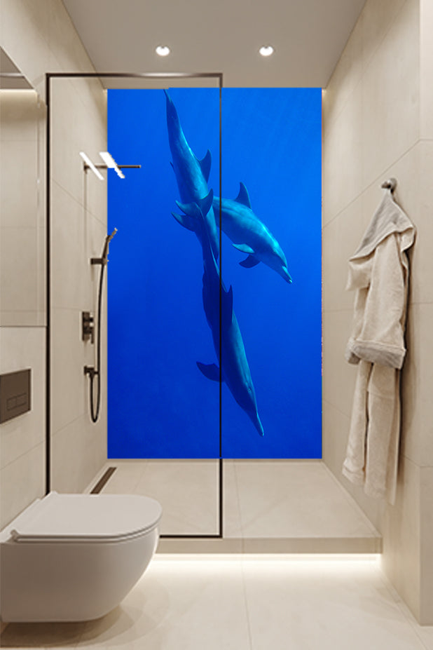 Dolphin 4
