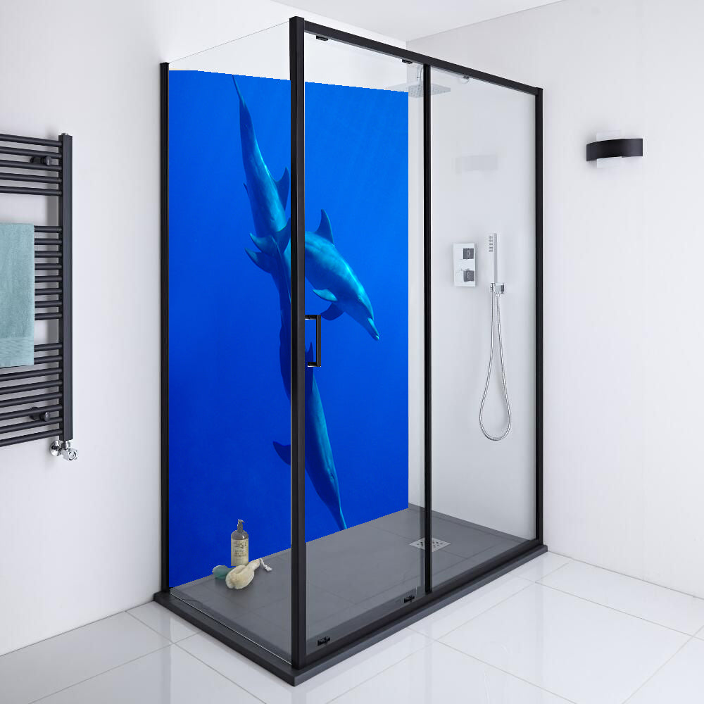 Dolphin 4