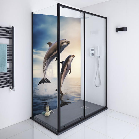 Dolphin 6