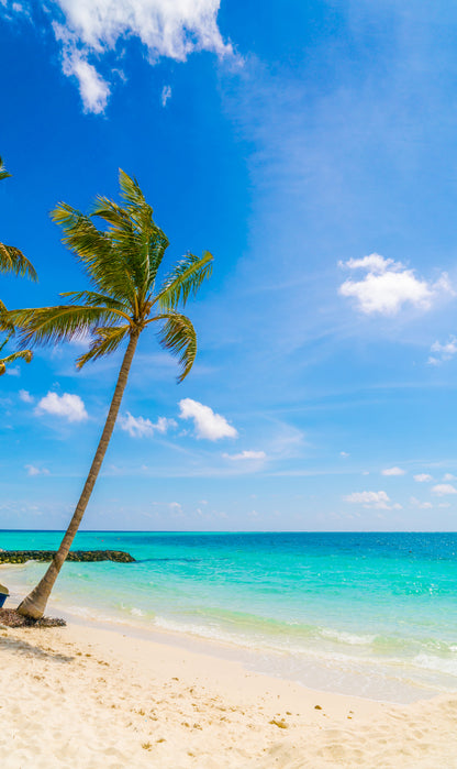 Tropical beach scene 4